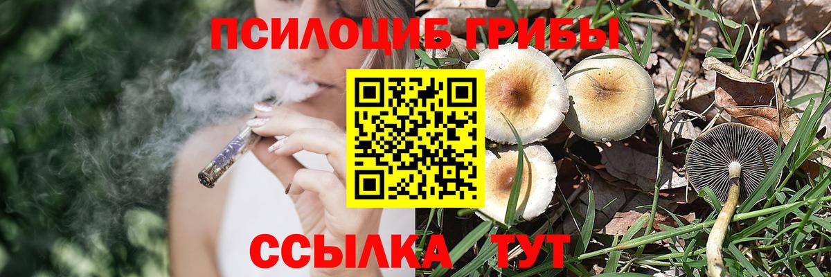 Галлюциногенные грибы мицелий  Вход с VPN  купить закладку  Старая Купавна 